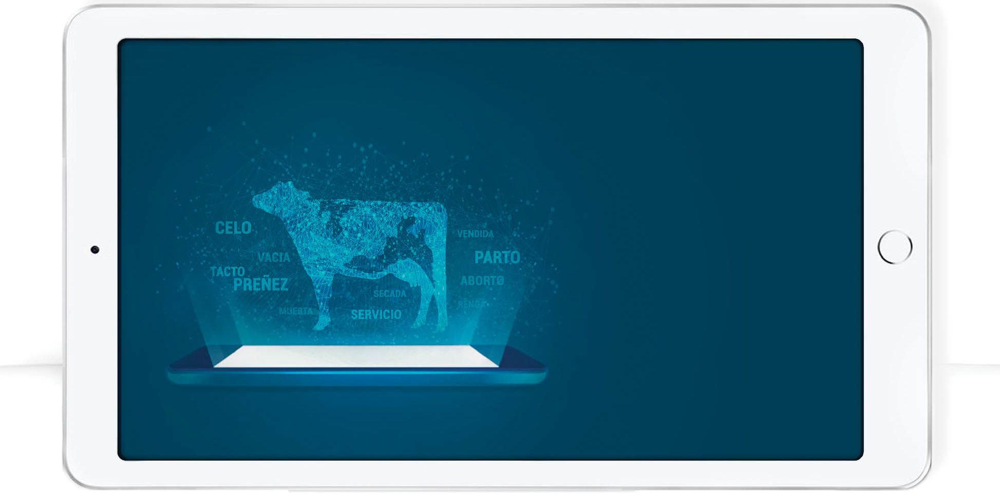 tablet showing key information about protambo mobile app