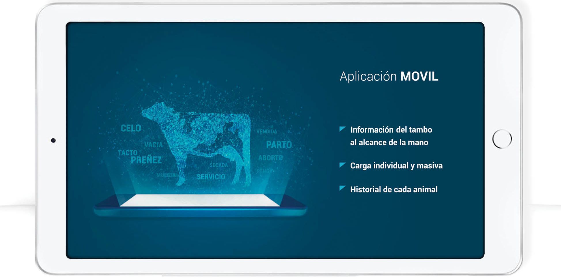 tablet showing key information about protambo mobile app